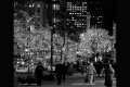 Celebrating the Holidays in the City