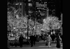 Celebrating the Holidays in the City