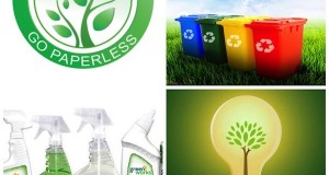 Green Living Tips for Renters